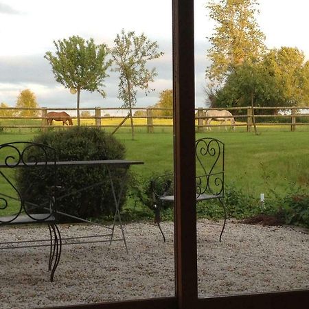 Haras Des Leudets Bed & Breakfast Blangy-le-Chateau ภายนอก รูปภาพ